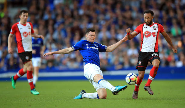 这种茶不仅 这种茶不仅